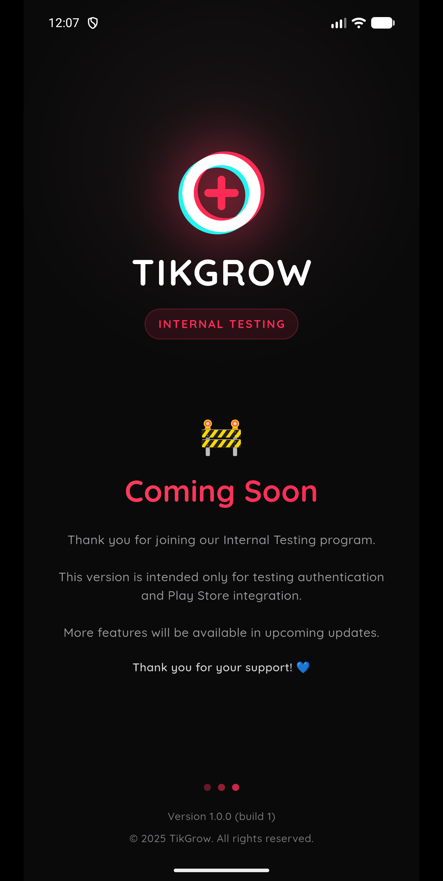 TikGrow screen 3